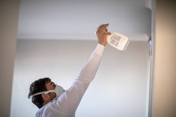 Professional Mold Removal in Girard, PA