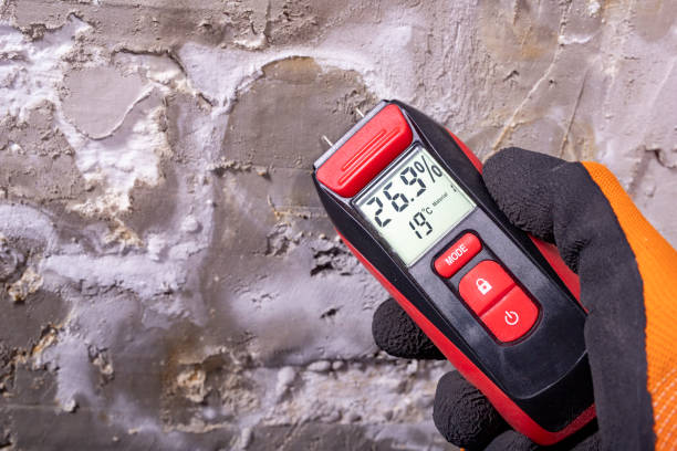 Best Emergency Mold Removal  in Girard, PA
